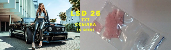 стафф Горняк