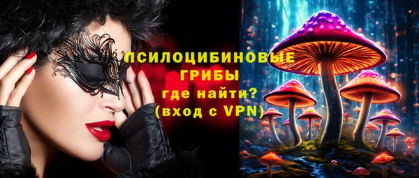 ALPHA PVP Горно-Алтайск