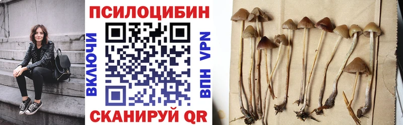 blacksprut tor  Ефремов  Галлюциногенные грибы GOLDEN TEACHER 