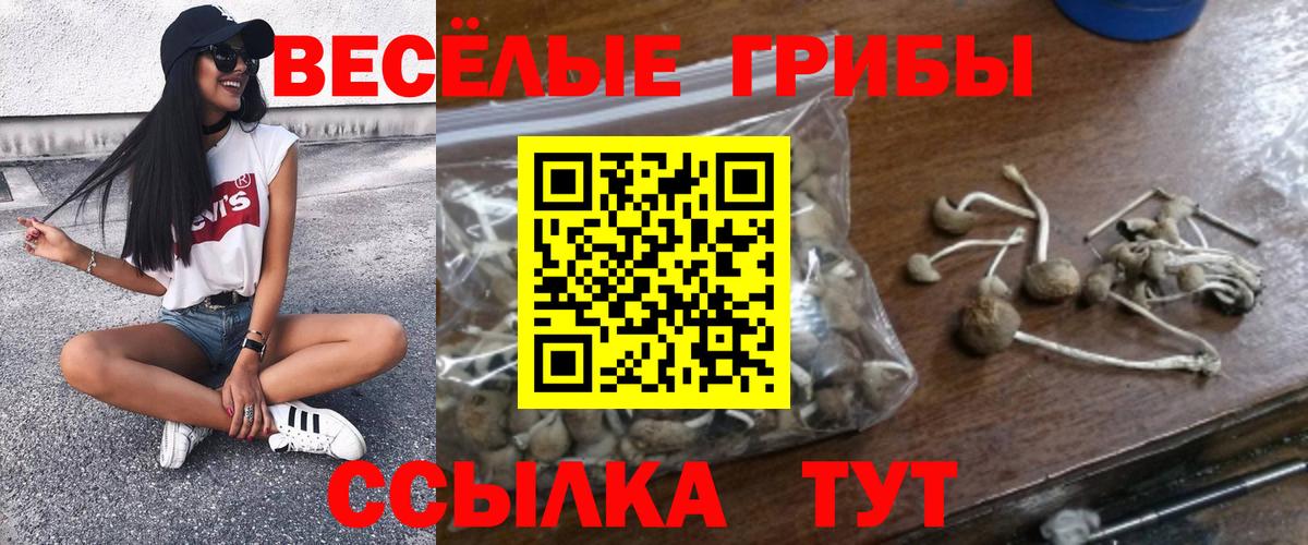Галлюциногенные грибы Magic Shrooms  Вход с VPN  Галлюциногенные грибы мухоморы  Ефремов 
