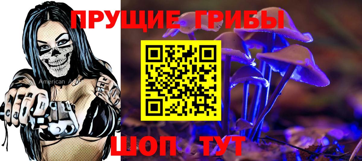 Псилоцибиновые грибы Cubensis Ефремов